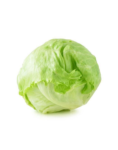 Selada lettuce icebreg
